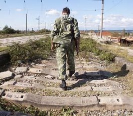 1-sarkinigzo-mimosvla_265_230