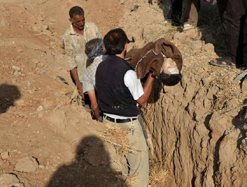 zarub-3-situacia-siria