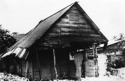 mravalshviliani-ojaxi