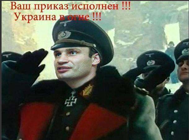 1-miStler-pol-1-qvem