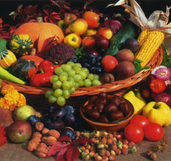 sazogad-3-CekuriSvili