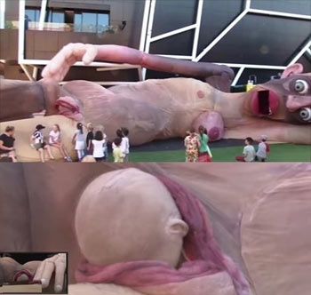 body-sazog-2-analit-1