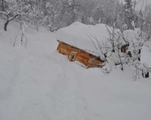 didtovloba-walenjixa